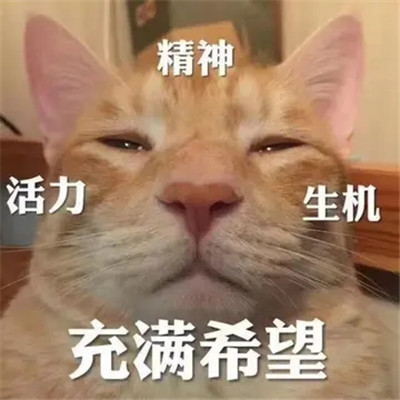 头像越怪,本人越帅