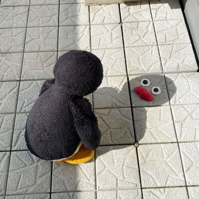 头像越怪,本人越帅