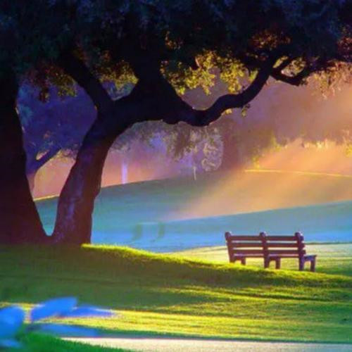 清晨微信头像图片