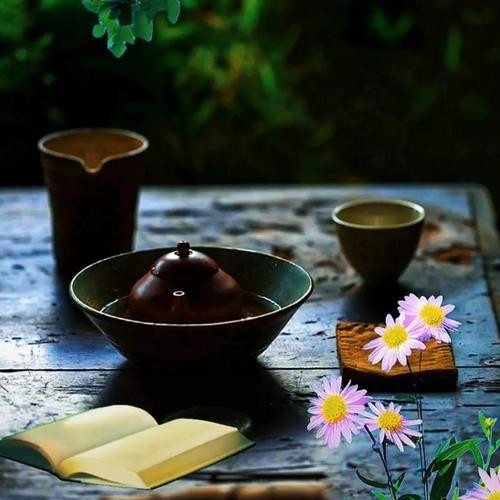 清晨微信头像图片