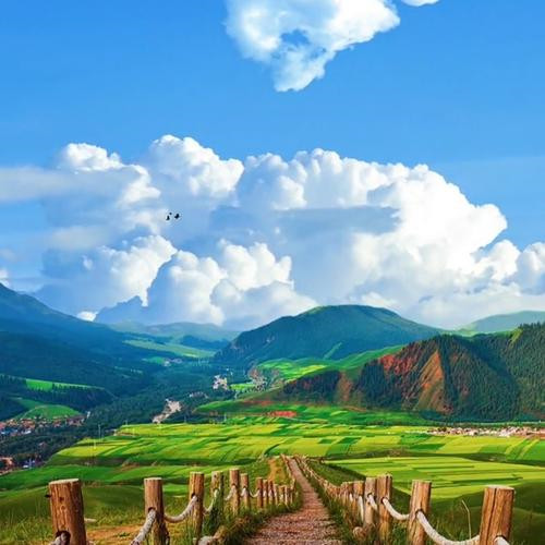 清晨微信头像图片