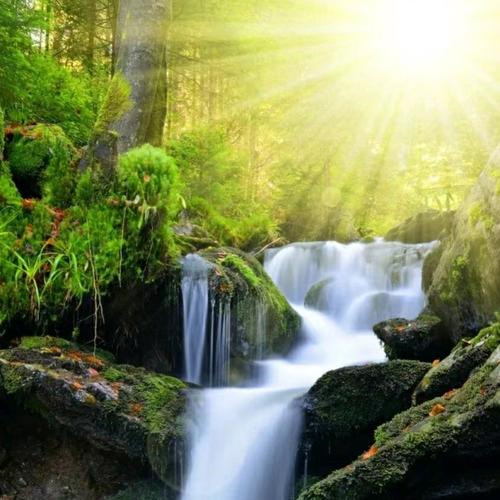 清晨微信头像图片