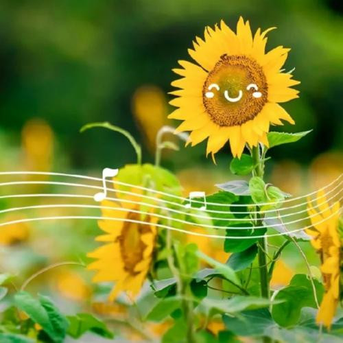 清晨微信头像图片