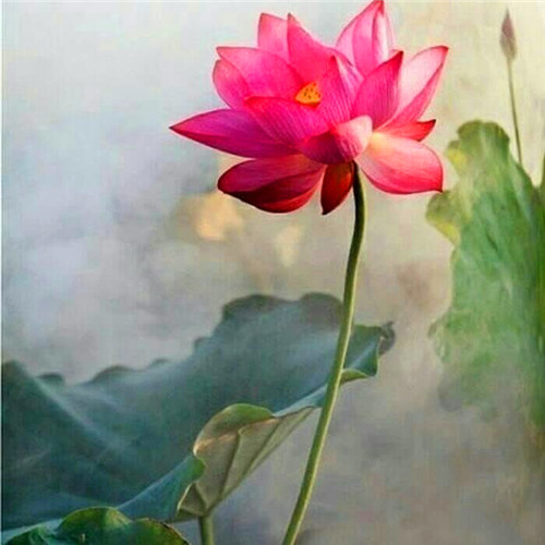 佛系唯美头像图片