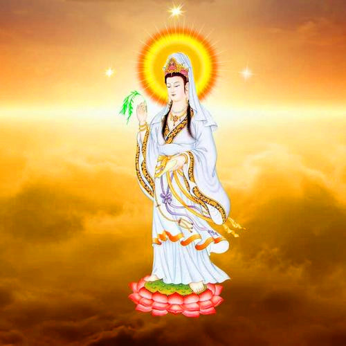 佛系唯美头像图片