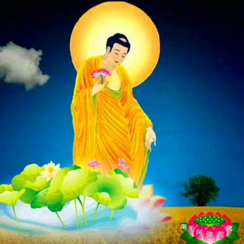 适合做头像的佛像图片