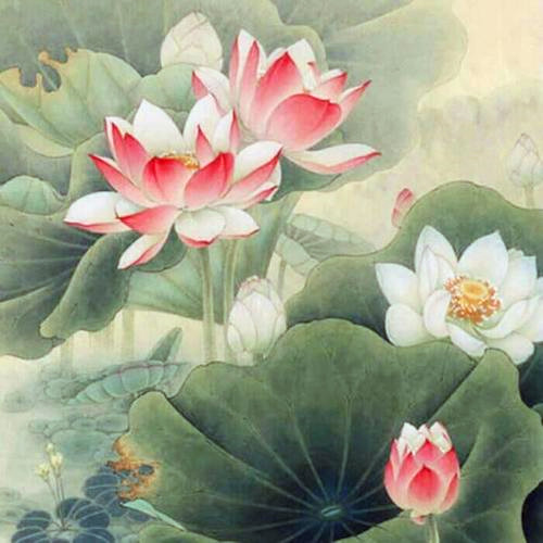 微信头像禅意静心图片