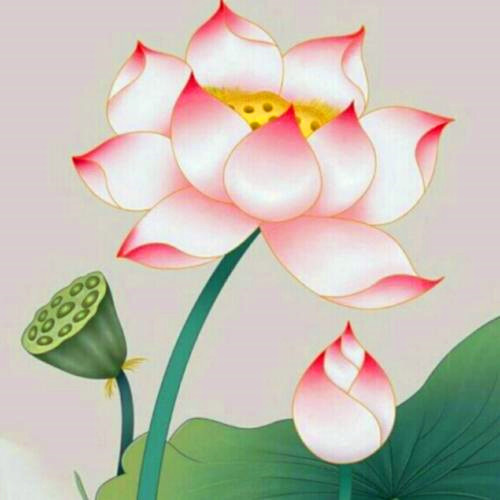 微信头像禅意静心图片
