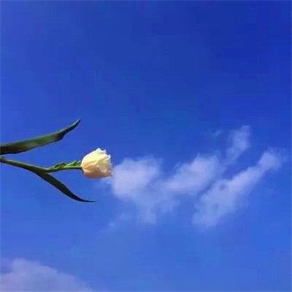 成熟男人专用头像图片