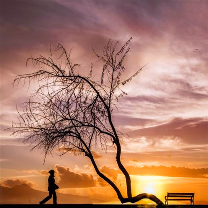 成熟男人专用头像图片