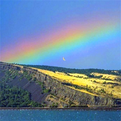 成熟男人专用头像图片