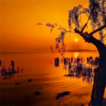 成熟男人专用头像图片