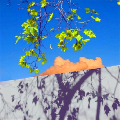 成熟男人专用头像图片