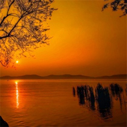 成熟男人专用头像图片