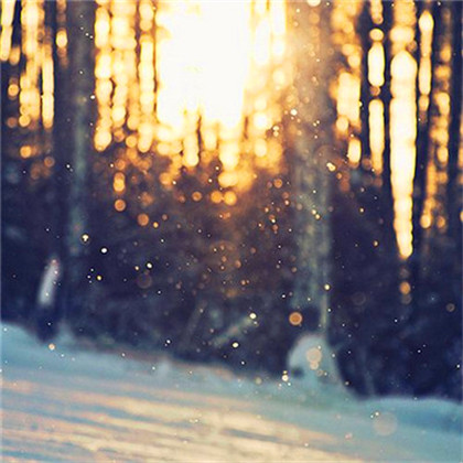 成熟男人专用头像图片