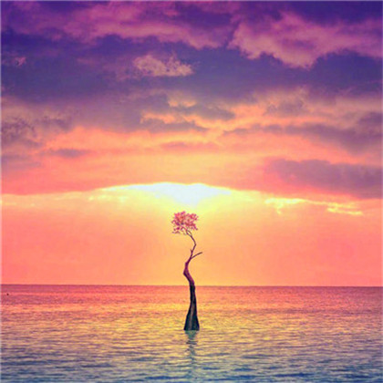 成熟男人专用头像图片