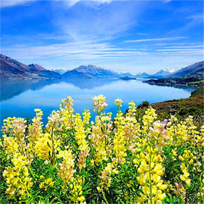 成熟男人专用头像图片