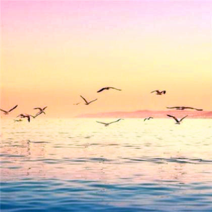 成熟男人专用头像图片