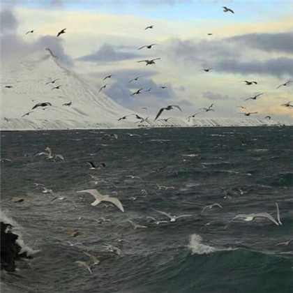 成熟男人专用头像图片