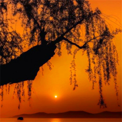 成熟男人专用头像图片