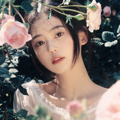 淡雅女生头像图片
