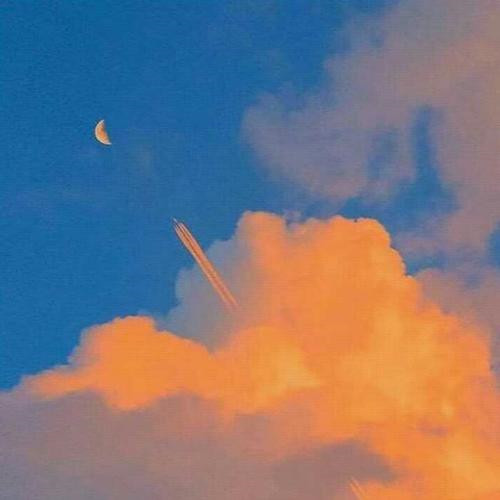 让人过目不忘的头像