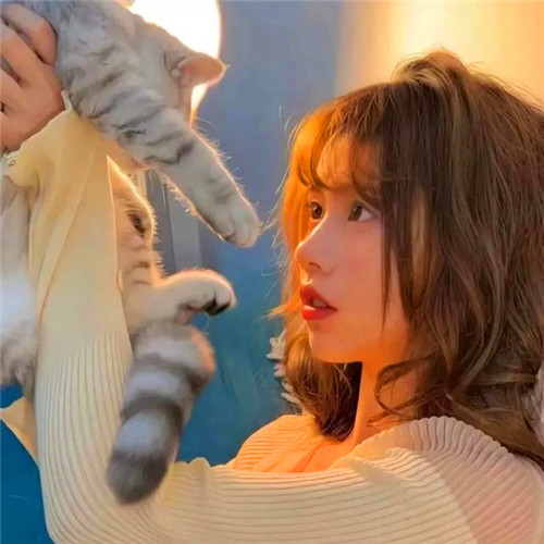 ins风高级质感女头像图片