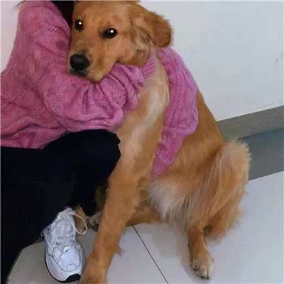 头像情侣INS高级质感