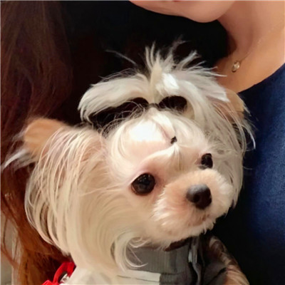 头像情侣INS高级质感