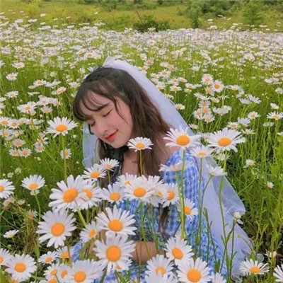 适合女生的小雏菊花图片头像