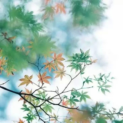 唯美风景头像图片大全高清
