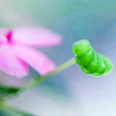 唯美风景头像图片大全高清