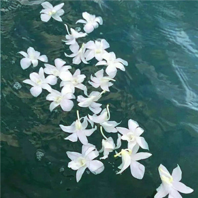 唯美风景头像图片大全高清