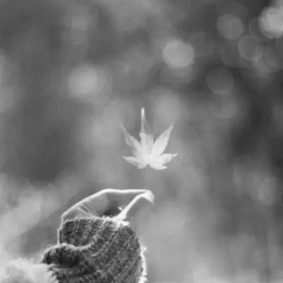 微信头像风景黑白唯美高清图片