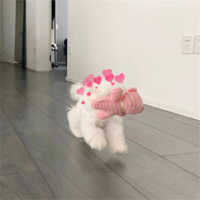 超沙雕头像图片
