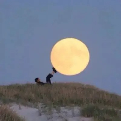 超沙雕头像图片
