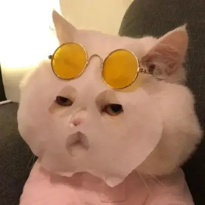 超沙雕头像图片