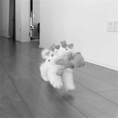 黑白沙雕搞笑头像图片