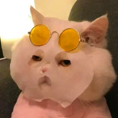超搞笑头像图片