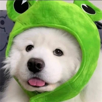 超搞笑头像图片
