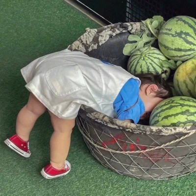 沙雕小众又很高级的搞笑头像图片