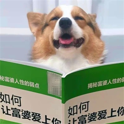 高级又沙雕的头像