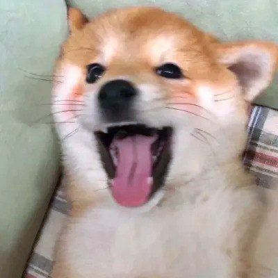 十分沙雕的头像