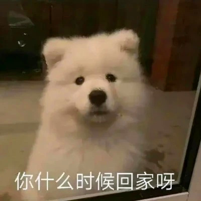一看就有病的沙雕头像