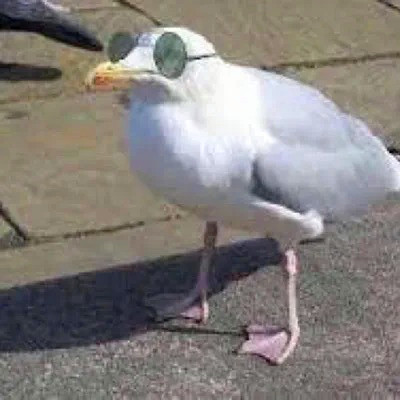 一看就有病的沙雕头像