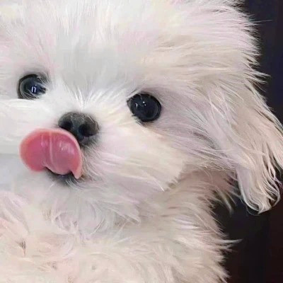 头像越怪本人越帅微信头像