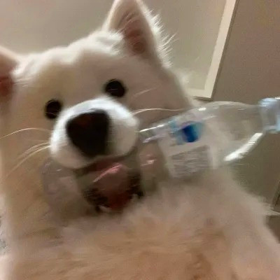头像越怪本人越帅微信头像