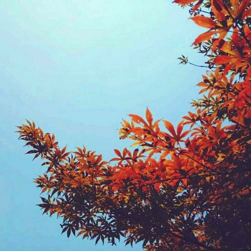 微信简单的干净头像漂亮图片