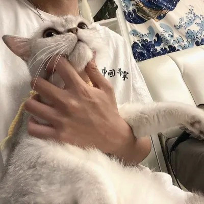 2025头像男最新版的图片