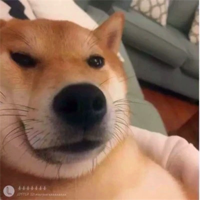 超火的摆烂头像
